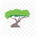 Tree Nature Plant Icon