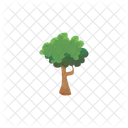 Tree Nature Plant Icon