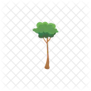 Tree Nature Plant Icon