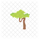 Tree Nature Plant Icon