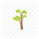 Tree Nature Plant Icon