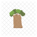 Tree Nature Plant Icon