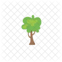 Tree Nature Plant Icon