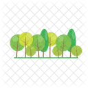 Tree Nature Plant Icon