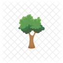 Tree Nature Plant Icon