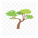 Tree Nature Plant Icon