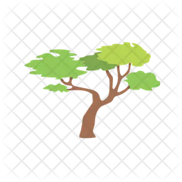 Tree  Icon