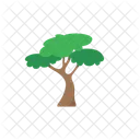 Tree Nature Plant Icon