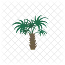 Tree Nature Plant Icon