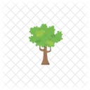 Tree Nature Plant Icon