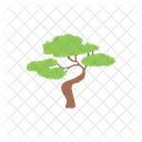 Tree Nature Plant Icon