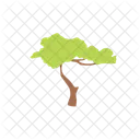 Tree Nature Plant Icon