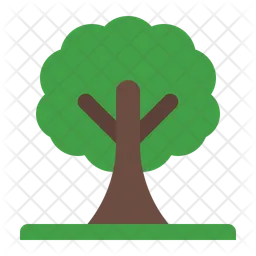 Tree  Icon