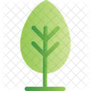 Tree Forest Woody Icon