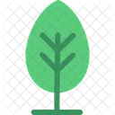 Tree Forest Woody Icon