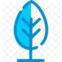 Tree Forest Woody Icon