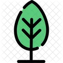 Tree Forest Woody Icon