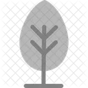 Tree Forest Woody Icon