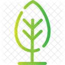 Tree Forest Woody Icon