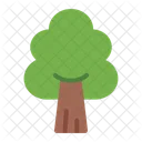 Tree Forestry Nature Icon