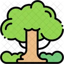 Tree Garden Nature Icon