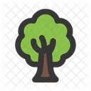 Tree Garden Yard Icon