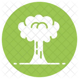 Tree  Icon