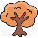 Tree Nature Fall Icon