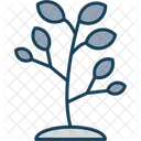 Tree Nature Forest Icon