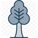 Tree Nature Forest Icon