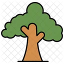 Tree Nature Plant Icon