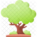 Tree Nature Plant Icon