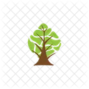 Tree Nature Plant Icon