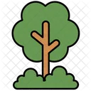 Tree Nature Plant Icon