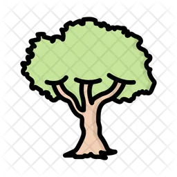 Tree  Icon