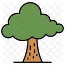 Tree Nature Plant Icon