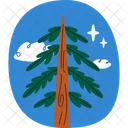 Tree Pine Pine Tree Icon