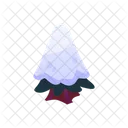 Tree Plant Fir Icon
