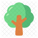 Tree Plant Forest Icon