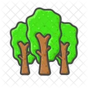 Tree Nature Plant Icon