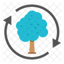 Tree Plant Woodland Icon