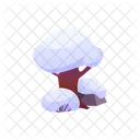 Tree Snow Trunk Icon