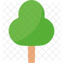 Tree  Icon