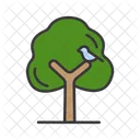 Tree Trunk Branches Icon