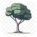 Tree Nature Plant Icon
