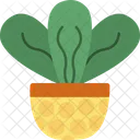 Tree Nature Plant Icon
