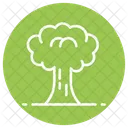 Tree  Icon