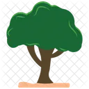 Tree  Icon