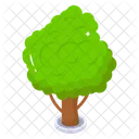 Tree  Icon