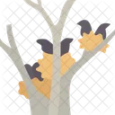 Tree  Icon